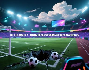 腾飞还是坠落？中国足球投资市场的风险与机遇深度解析