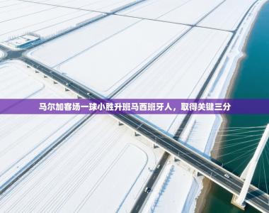 马尔加客场一球小胜升班马西班牙人，取得关键三分