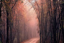 辽宁主场逆袭，安徽惜败