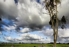 塞内加尔女足力挫强敌，夺得非洲杯亚军