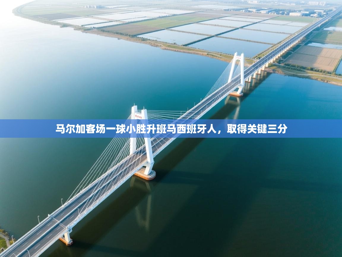 马尔加客场一球小胜升班马西班牙人，取得关键三分  第2张