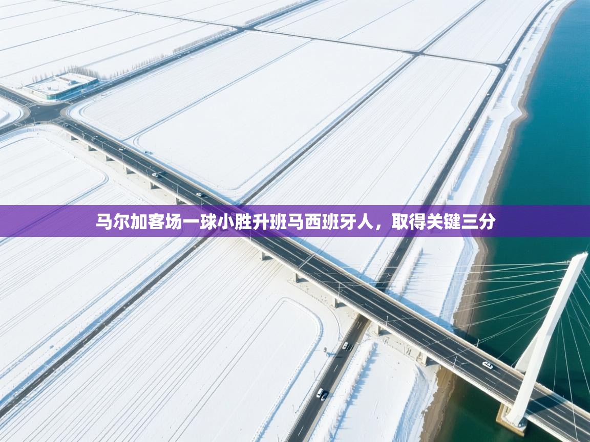 马尔加客场一球小胜升班马西班牙人，取得关键三分  第1张