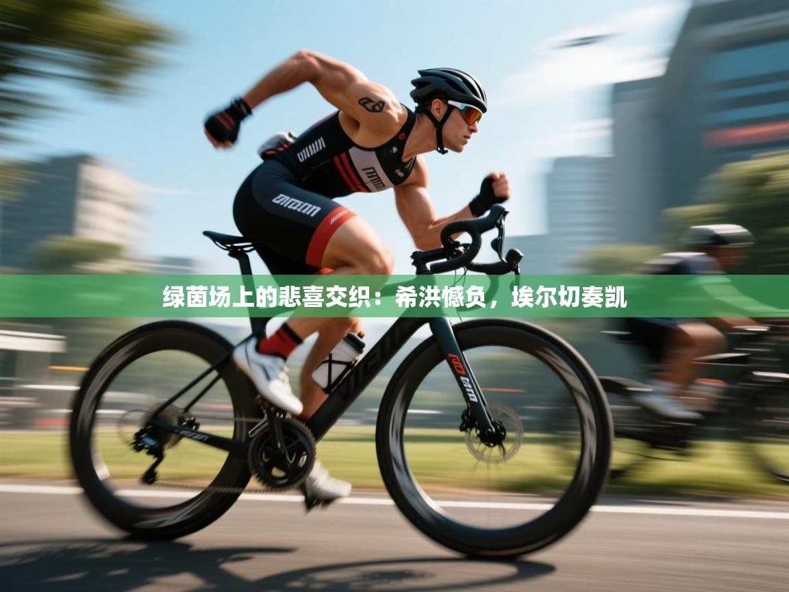 绿茵场上的悲喜交织：希洪憾负，埃尔切奏凯  第1张