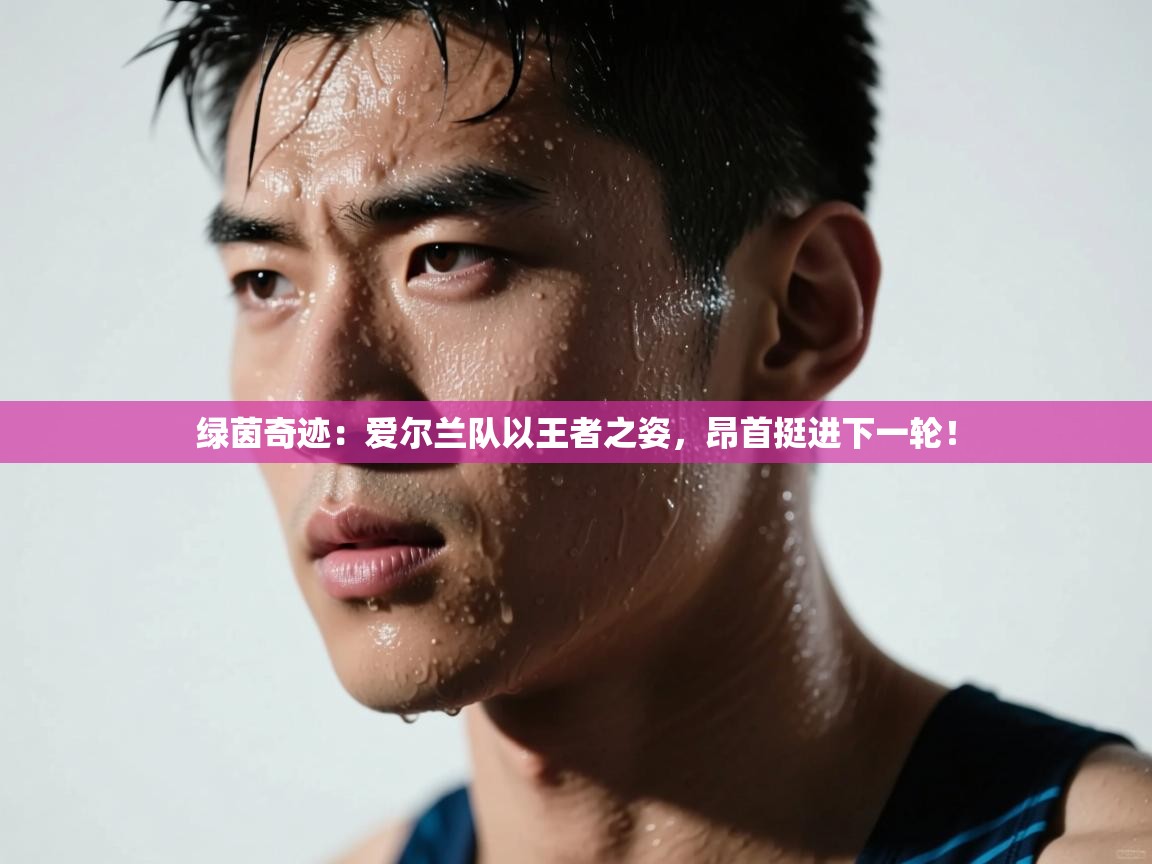 绿茵奇迹：爱尔兰队以王者之姿，昂首挺进下一轮！  第1张