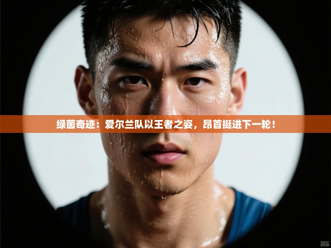 绿茵奇迹：爱尔兰队以王者之姿，昂首挺进下一轮！  第2张